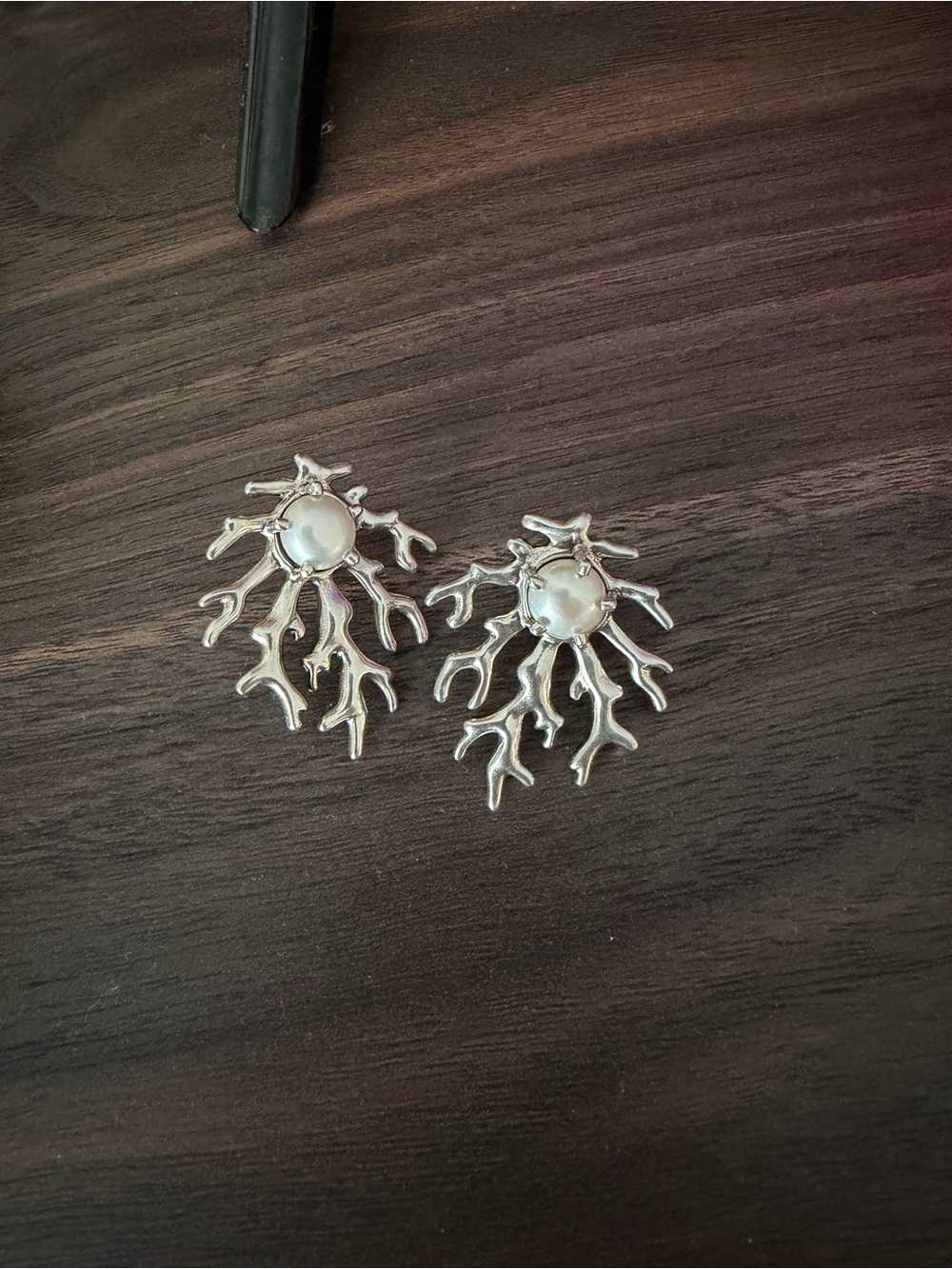 Kendra Scott earrings